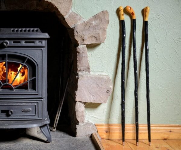 Blackthorn Canes.jpg
