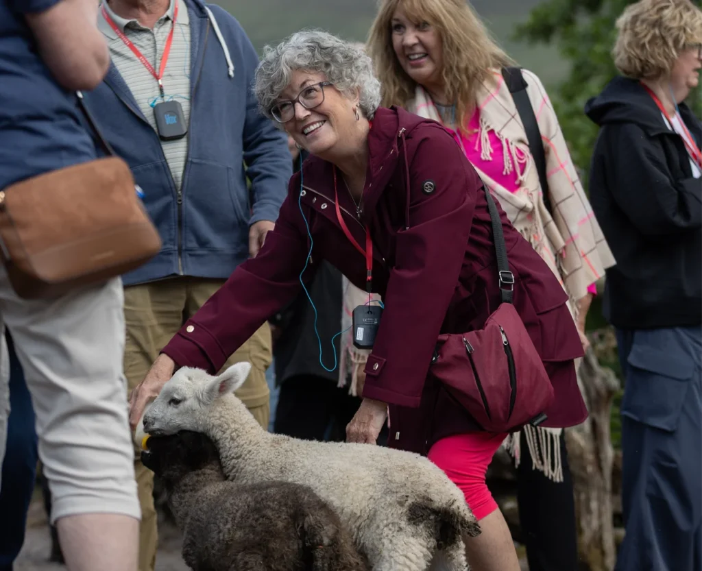 Lambs