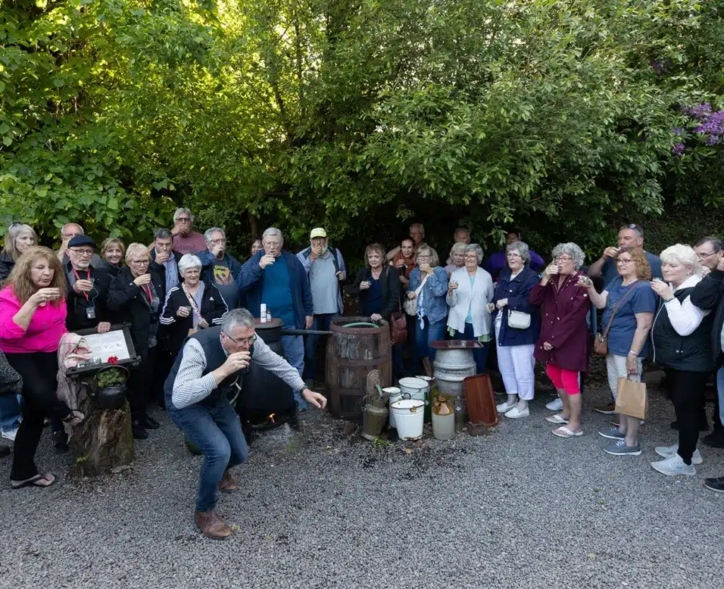 Poitin Demo Gallery 7