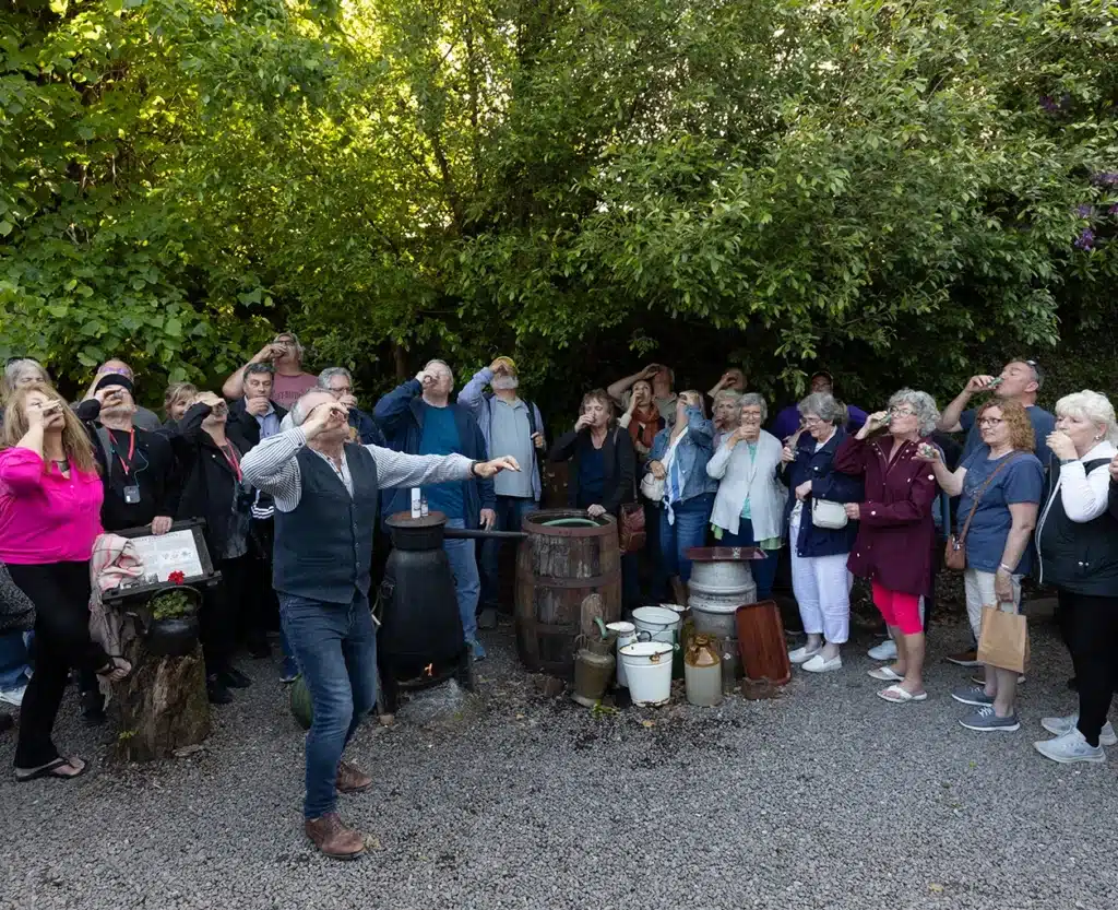 Poitin Demo Gallery 9