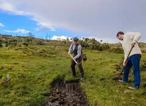 Turf Bog