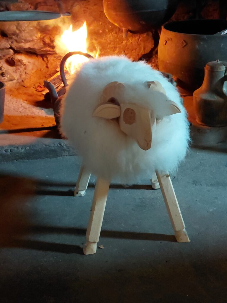 Med Sheep with Horns 1
